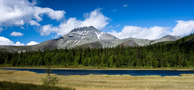 переезд с севера